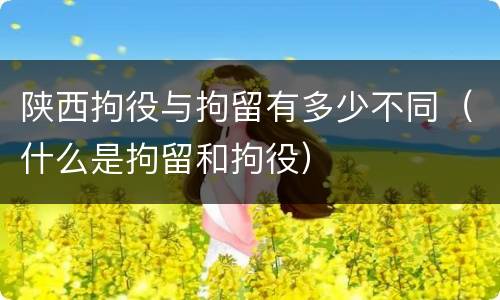 陕西拘役与拘留有多少不同（什么是拘留和拘役）
