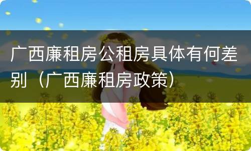 广西廉租房公租房具体有何差别（广西廉租房政策）