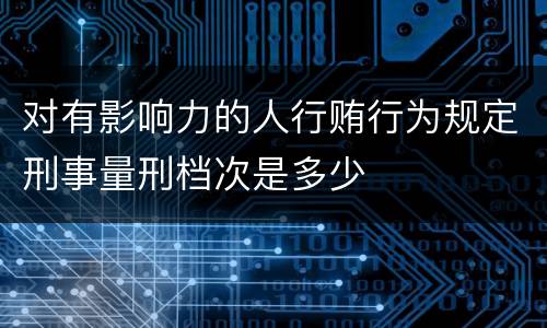 对有影响力的人行贿行为规定刑事量刑档次是多少