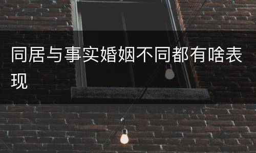 同居与事实婚姻不同都有啥表现