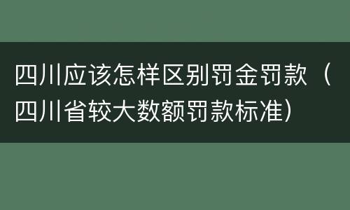 四川应该怎样区别罚金罚款（四川省较大数额罚款标准）