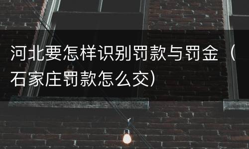 河北要怎样识别罚款与罚金（石家庄罚款怎么交）