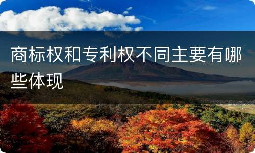 商标权和专利权不同主要有哪些体现