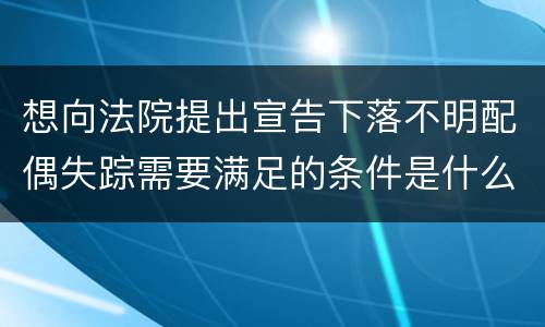 想向法院提出宣告下落不明配偶失踪需要满足的条件是什么