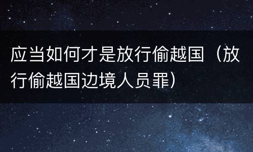 应当如何才是放行偷越国（放行偷越国边境人员罪）