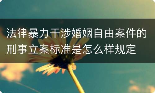 法律暴力干涉婚姻自由案件的刑事立案标准是怎么样规定
