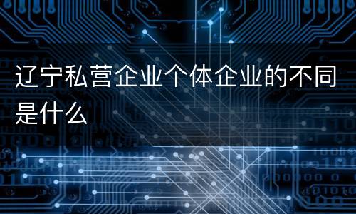 辽宁私营企业个体企业的不同是什么
