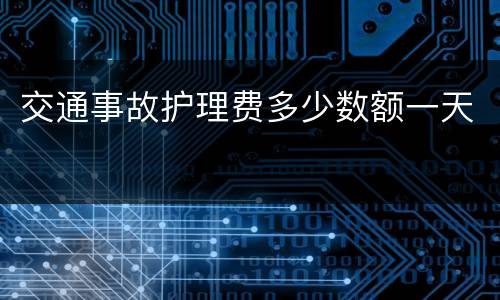 交通事故护理费多少数额一天