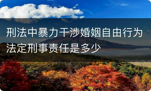 刑法中暴力干涉婚姻自由行为法定刑事责任是多少