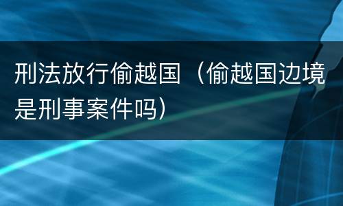刑法放行偷越国（偷越国边境是刑事案件吗）