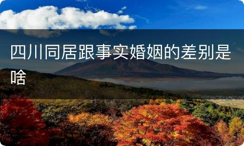 四川同居跟事实婚姻的差别是啥