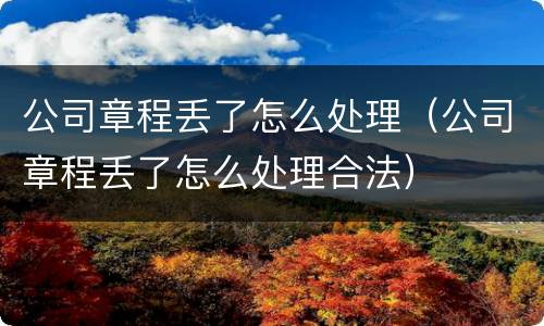 公司章程丢了怎么处理（公司章程丢了怎么处理合法）