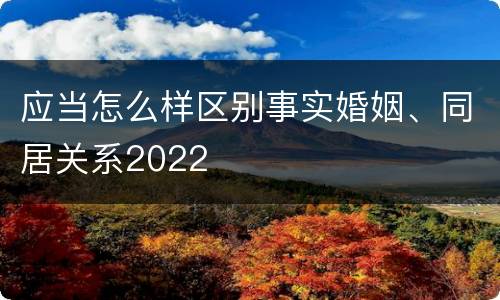 应当怎么样区别事实婚姻、同居关系2022
