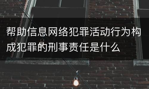 帮助信息网络犯罪活动行为构成犯罪的刑事责任是什么