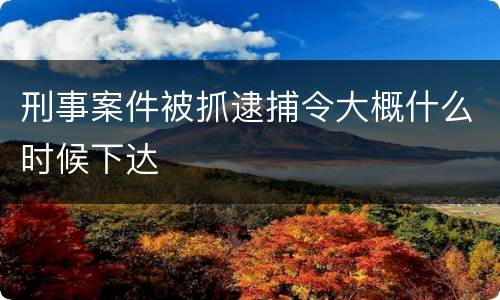 刑事案件被抓逮捕令大概什么时候下达