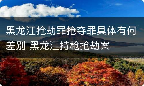 黑龙江抢劫罪抢夺罪具体有何差别 黑龙江持枪抢劫案