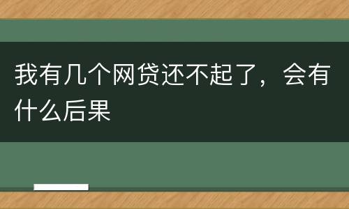 我有几个网贷还不起了，会有什么后果