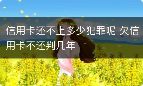 信用卡还不上多少犯罪呢 欠信用卡不还判几年