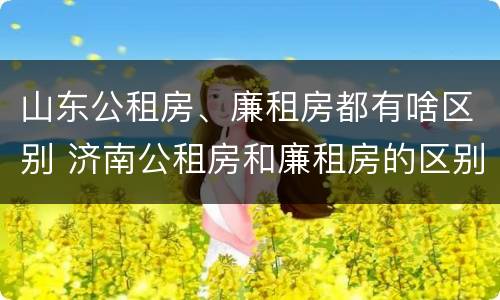 山东公租房、廉租房都有啥区别 济南公租房和廉租房的区别