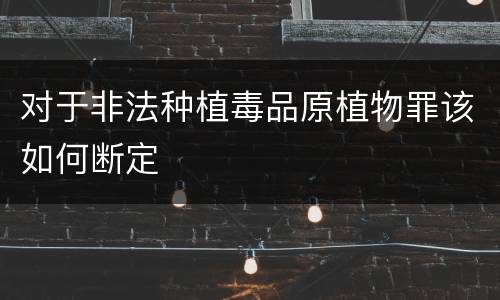 对于非法种植毒品原植物罪该如何断定
