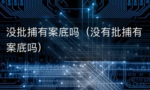 没批捕有案底吗（没有批捕有案底吗）