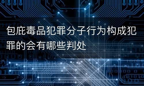 包庇毒品犯罪分子行为构成犯罪的会有哪些判处