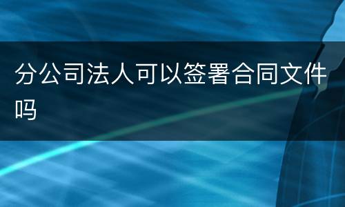 分公司法人可以签署合同文件吗