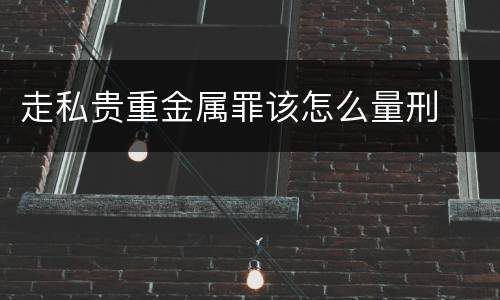 走私贵重金属罪该怎么量刑