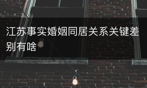 江苏事实婚姻同居关系关键差别有啥