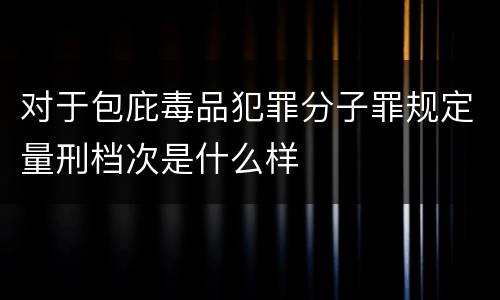 对于包庇毒品犯罪分子罪规定量刑档次是什么样
