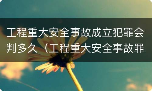 工程重大安全事故成立犯罪会判多久（工程重大安全事故罪立案）