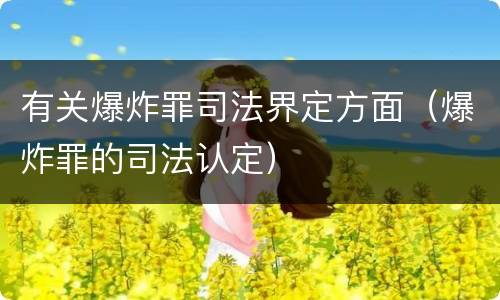 有关爆炸罪司法界定方面（爆炸罪的司法认定）