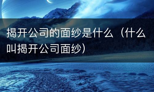 揭开公司的面纱是什么（什么叫揭开公司面纱）