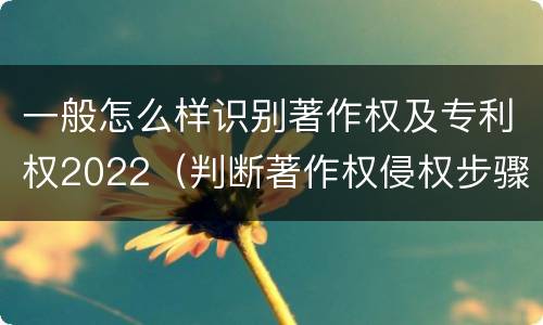 一般怎么样识别著作权及专利权2022（判断著作权侵权步骤）