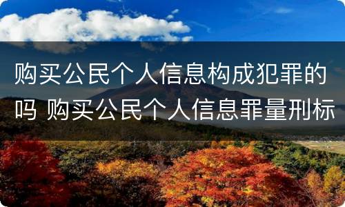 购买公民个人信息构成犯罪的吗 购买公民个人信息罪量刑标准