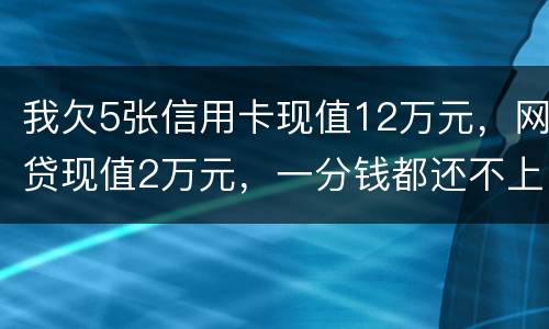 我欠5张信用卡现值12万元，网贷现值2万元，一分钱都还不上了，会判多少年