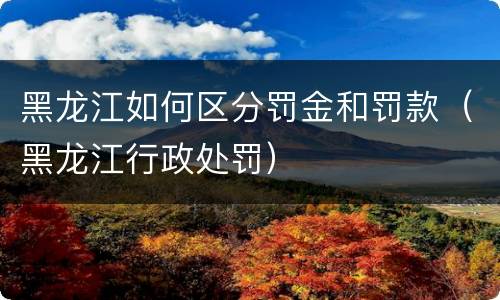 黑龙江如何区分罚金和罚款（黑龙江行政处罚）