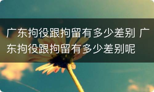 广东拘役跟拘留有多少差别 广东拘役跟拘留有多少差别呢