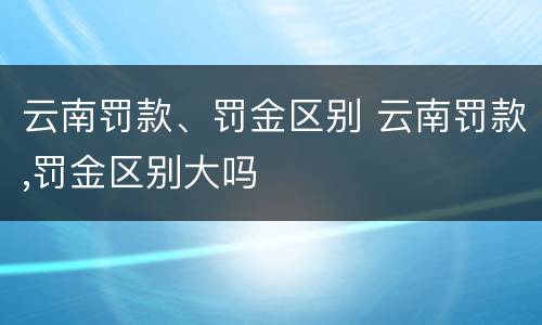 云南罚款、罚金区别 云南罚款,罚金区别大吗