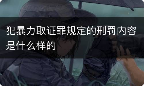 犯暴力取证罪规定的刑罚内容是什么样的