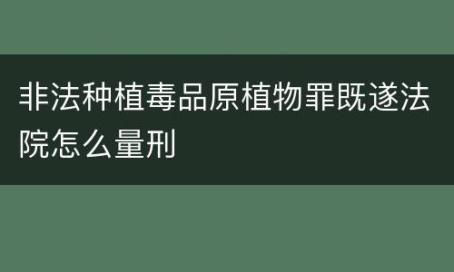 非法种植毒品原植物罪既遂法院怎么量刑