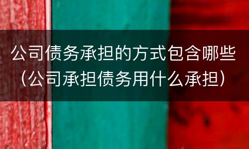 公司债务承担的方式包含哪些（公司承担债务用什么承担）