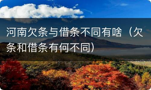 河南欠条与借条不同有啥（欠条和借条有何不同）
