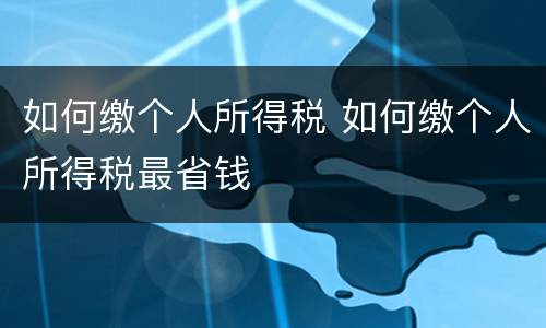 如何缴个人所得税 如何缴个人所得税最省钱
