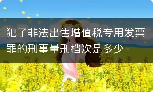 犯了非法出售增值税专用发票罪的刑事量刑档次是多少