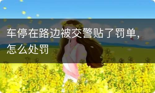 车停在路边被交警贴了罚单，怎么处罚