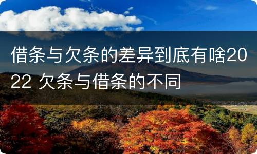 借条与欠条的差异到底有啥2022 欠条与借条的不同