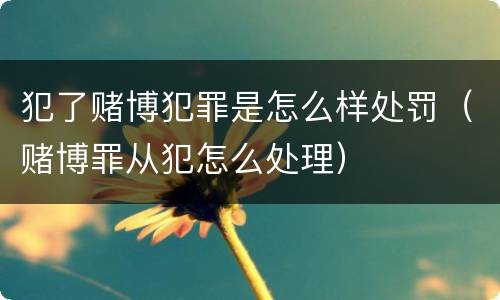 犯了赌博犯罪是怎么样处罚（赌博罪从犯怎么处理）