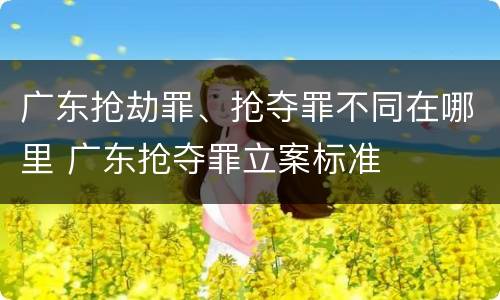 广东抢劫罪、抢夺罪不同在哪里 广东抢夺罪立案标准