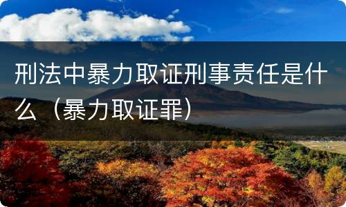 刑法中暴力取证刑事责任是什么（暴力取证罪）